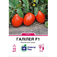 Томат Галілея F1 10 насінин СПЕКТР